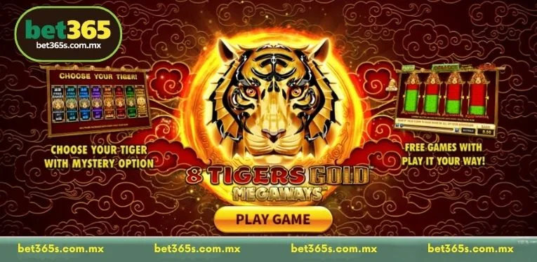 An Overview of 8 Tigers Gold