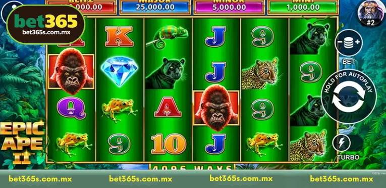 Operational Strategy for the Epic Ape 2 Environment