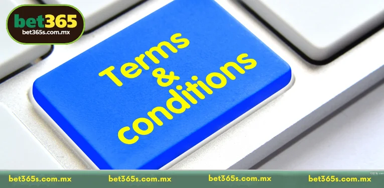 Organized Structure of Our Terms and Conditions