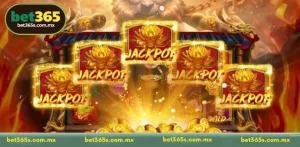 Play for Jackpot wins - A Guide to Premium Gambling