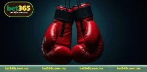 Boxing Betting - The Most Attractive Sports Market Bet365